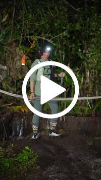 BIB:  <button type="button" onclick="openModal(27713787)" class="btn btn-primary btn-sm float-right" data-toggle="modal" data-target=".modal-high-quality">
                <i class="fa fa-download"></i> Download
                </button>